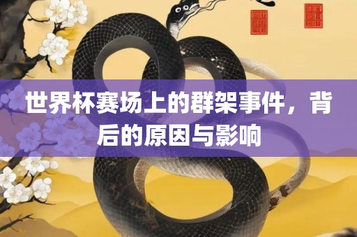 世界杯赛场上的群架事件，背后的原因与影响