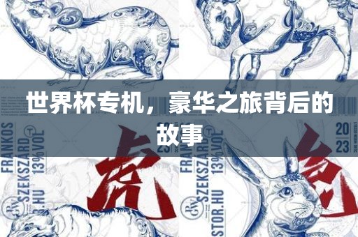 世界杯专机，豪华之旅背后的故事眉山市正发家政服务有限公司