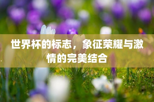 世界杯的标志，象征荣耀与激情的完美结合