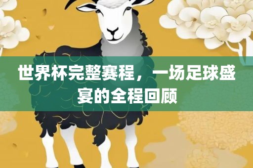 世界杯完整赛程，一场足球盛宴的全程回顾
