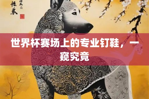 眉山市正发家政服务有限公司世界杯赛场上的专业钉鞋，一窥究竟