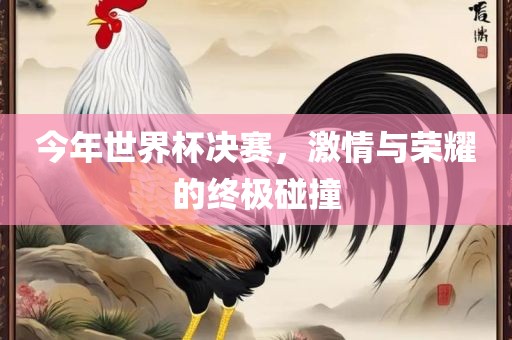 今年世界杯决赛，激情与荣耀的终极碰撞眉山市正发家政服务有限公司