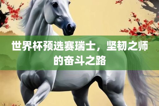 世界杯预选赛瑞士，坚韧之师的奋斗之路