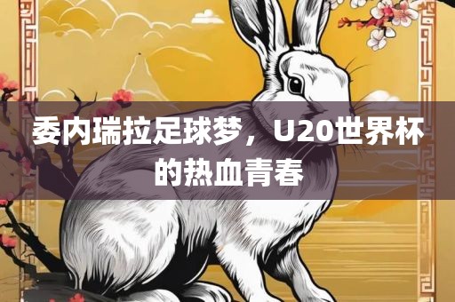 委内瑞拉足球梦，U20世界杯的热血青春