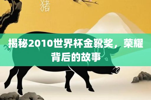 揭秘2010世界杯金靴奖，荣耀背后的故事