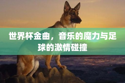 世界杯金曲，音乐的魔力与足球的激情碰撞