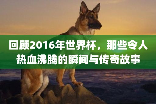 回顾2016年世界杯，那些令人热血沸腾的瞬间与传奇故事