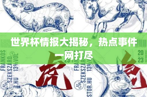 世界杯情报大揭秘，热点事件一网打尽眉山市正发家政服务有限公司