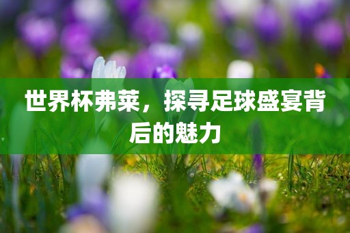 世界杯弗莱，探寻足球盛宴背后的魅力眉山市正发家政服务有限公司