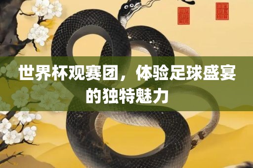 世界杯观赛团，体验足球盛宴的独特魅力