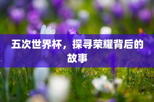 五次世界杯，探寻荣耀背后的故事眉山市正发家政服务有限公司