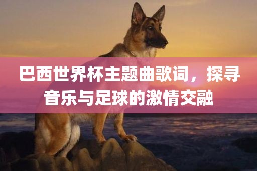 巴西世界杯主题曲歌词，探寻音乐与足球的激情交融