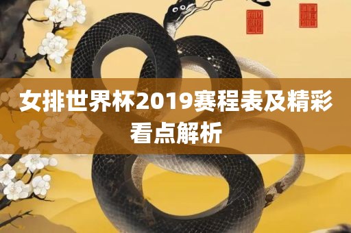 女排世界杯2019赛程表及精彩看点解析