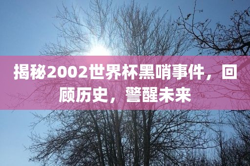 揭秘2002世界杯黑哨事件，回顾历史，警醒未来