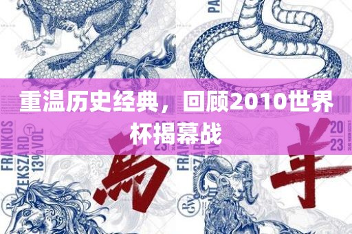 重温历史经典，回顾2010世界杯揭幕战