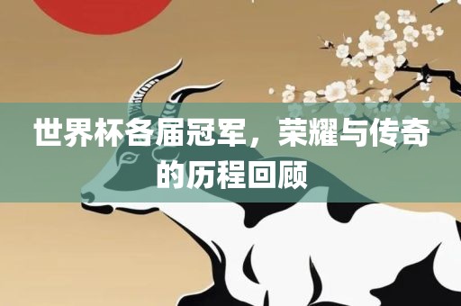 世界杯各届冠军，荣耀与传奇的历程回顾