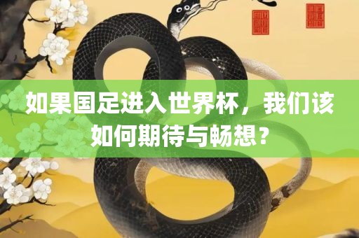 如果国足进入世界杯，我们该如何期待与畅想？