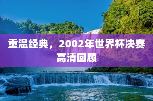 重温经典，2002年世界杯决赛高清回顾眉山市正发家政服务有限公司