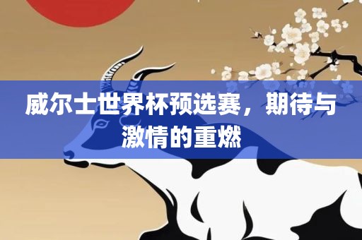 威尔士世界杯预选赛，期待与激情的重燃
