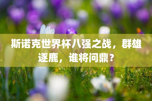 斯诺克世界杯八强之战，群雄逐鹿，谁将问鼎？