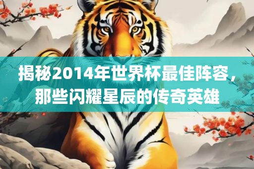 揭秘2014年世界杯最佳阵容，那些闪耀星辰的传奇英雄