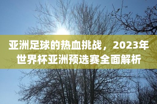 亚洲足球的热血挑战，2023年世界杯亚洲预选赛全面解析眉山市正发家政服务有限公司