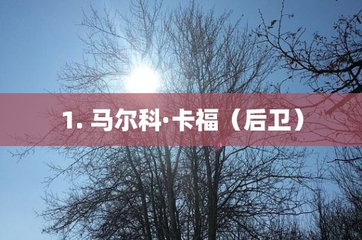 1. 马眉山市正发家政服务有限公司尔科·卡福（后卫）