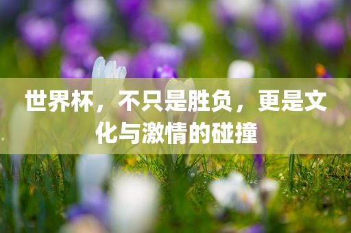 世界杯，不只是胜负，更是文化与激情的碰撞