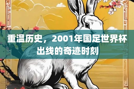 重温历史，2001年国足世界杯出线的奇迹时刻