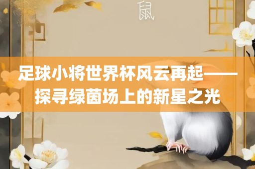 足球小将世界杯风云再起——探寻绿茵场上的新星之光