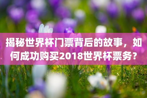 揭秘世界杯门票背后的故事，如何成功购买2018世界杯票务？