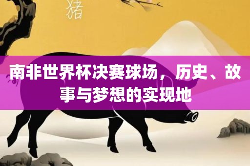 南非世界杯决赛球场，历史、故事与梦想的实现地眉山市正发家政服务有限公司