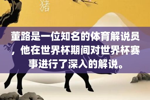 董路是一位知名的体育解说员，他在世界杯期间对世界杯赛事进行了深入的解说。