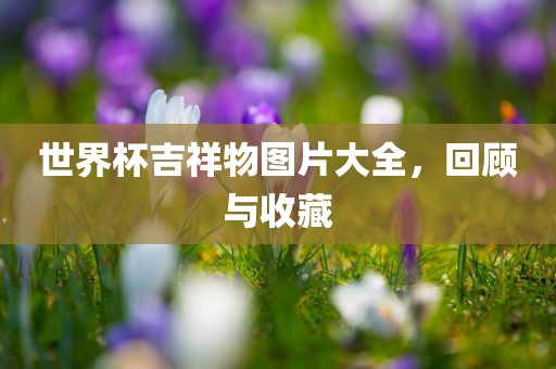 世界杯吉祥物图片大全，回顾与收藏