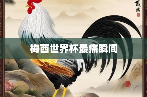 梅西世界杯最痛瞬间