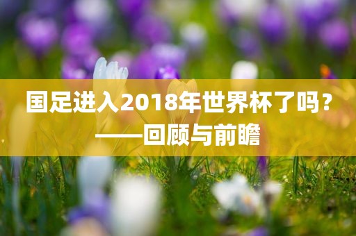 国足进入2018年世界杯了吗？——回顾与前瞻