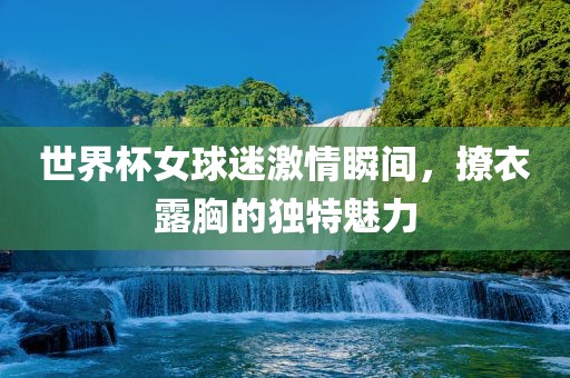 世界杯女球迷激情瞬间，撩衣露胸的独特魅力眉山市正发家政服务有限公司