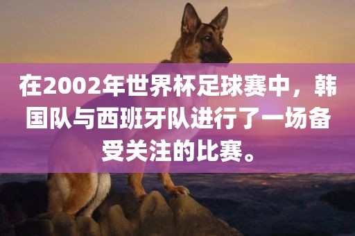 在2002年世界杯足球赛中，韩国队与西班牙队进行了一场备受关注的比赛。