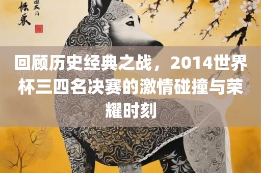 回顾历史经典之战，2014世界杯三四名决赛的激情碰撞与荣耀时刻