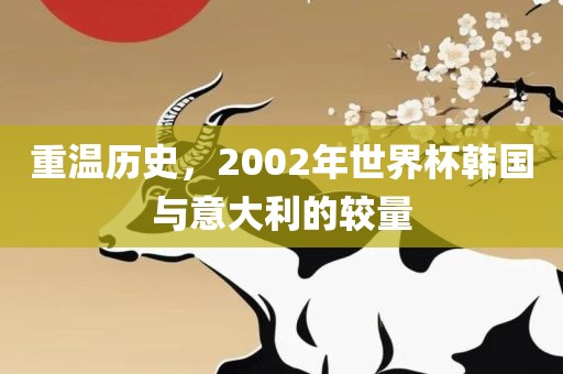 重温历史，2002年世界杯韩国与意大利的较量