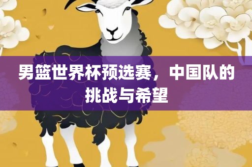 男篮世界杯预选赛，中国队的挑战与希望