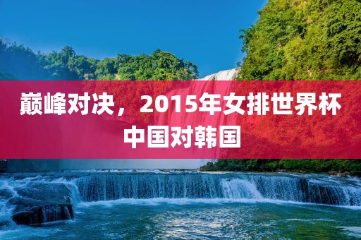 巅峰对决，2015年女排世界杯中国对韩国眉山市正发家政服务有限公司