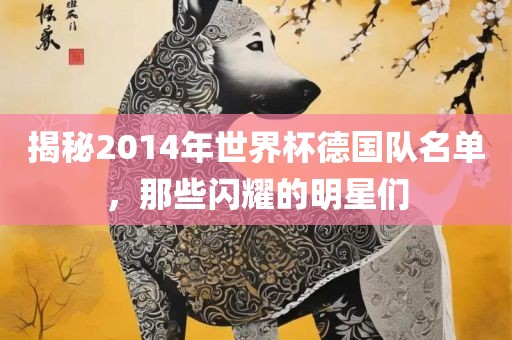 揭秘2014年世界杯德国队名单，那些闪耀的明星们