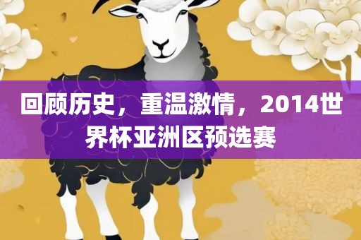 回顾历史，重温激情，2014世界杯亚洲区预选赛