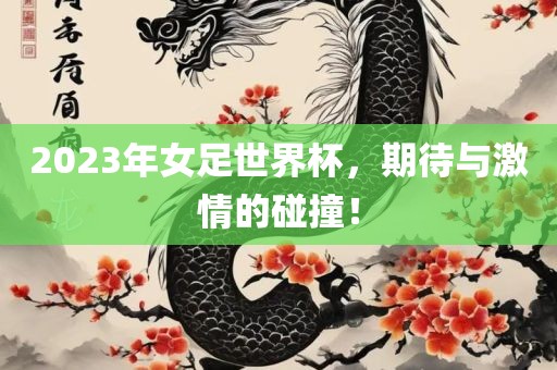 2023年女足世界杯，期待与激情的碰撞！