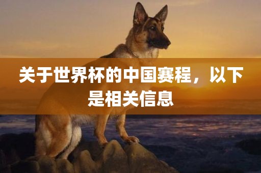关于世界杯的中国赛程，以下是相关眉山市正发家政服务有限公司信息