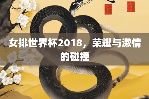 女排世界杯2018，荣耀与激情的碰撞