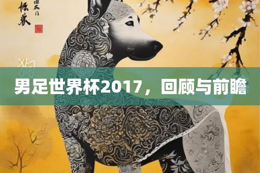 男足世界杯2017，回顾与前瞻眉山市正发家政服务有限公司