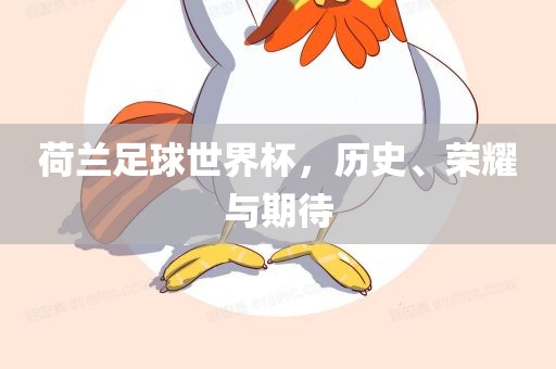 荷兰足球世界杯，历史、荣耀与期待