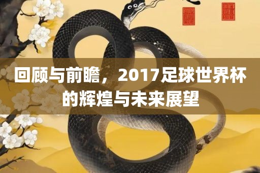 回顾与前瞻，2017足球世界杯的辉煌与未来展望